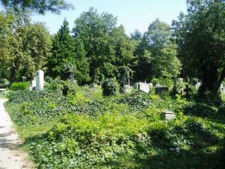 Szombathely, Szent Márton u. 40. Szent Márton-temető 1.kép.jpg