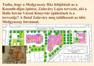 Zalaváry Lajos - Medgyaszay Ház.jpg
